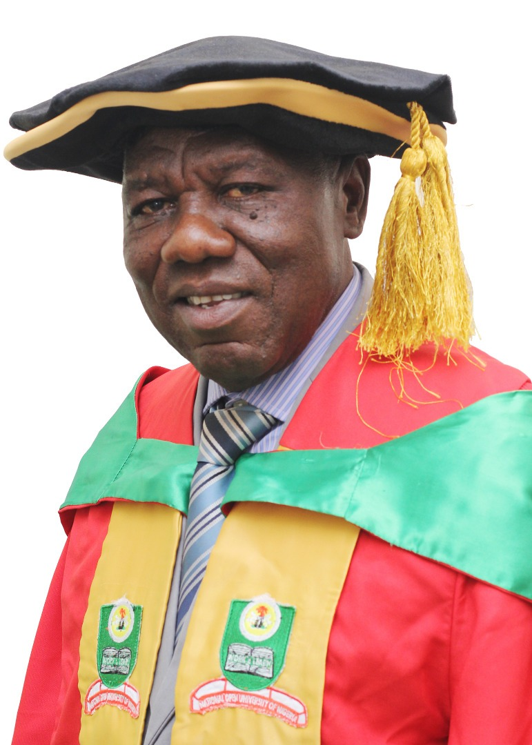 Professor. Wilfred N J Ugwuanyi